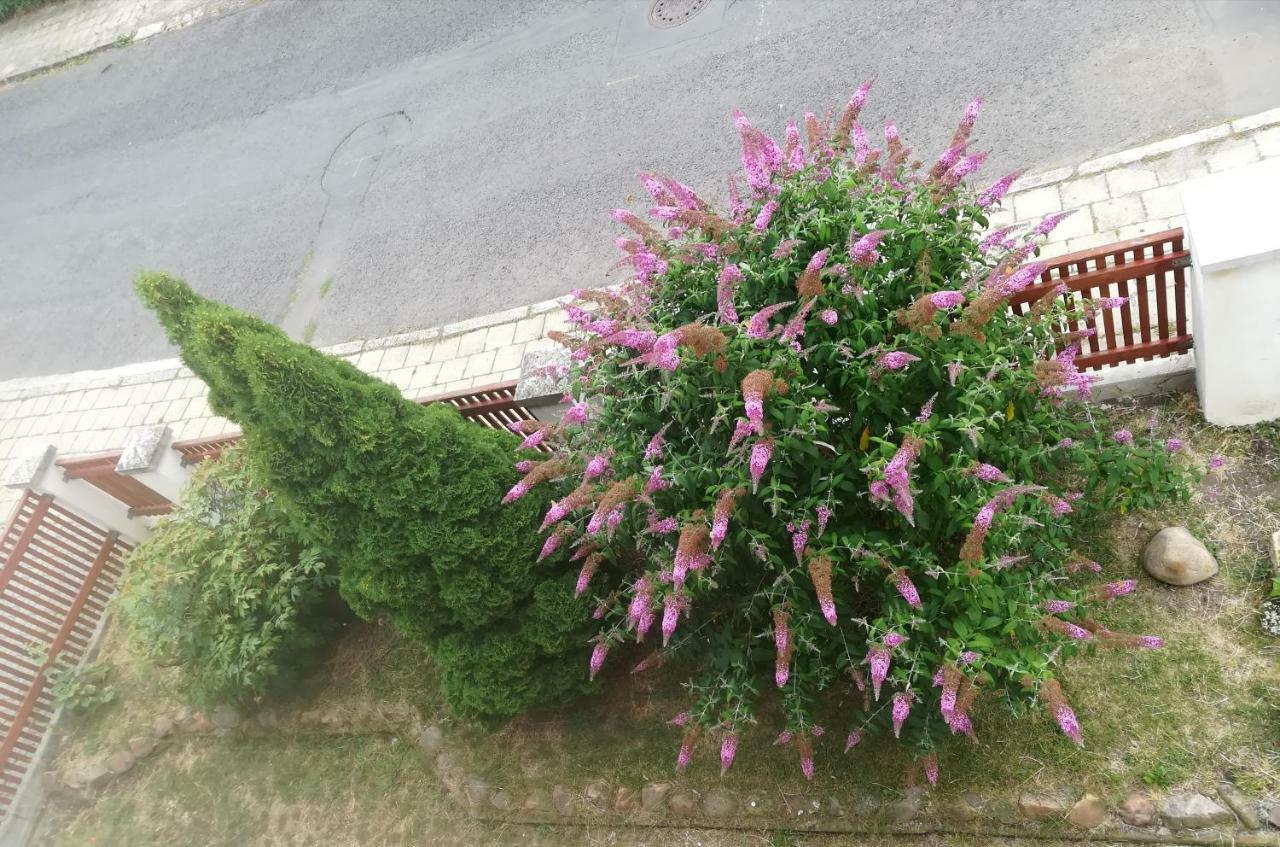 Penzion Flora Zatec  Exterior photo